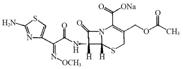 עͷ