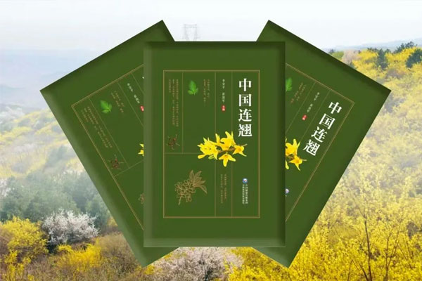 新葡萄(8883·AMG)官方网站