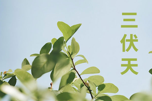 ������(8883��AMG)�ٷ���վ