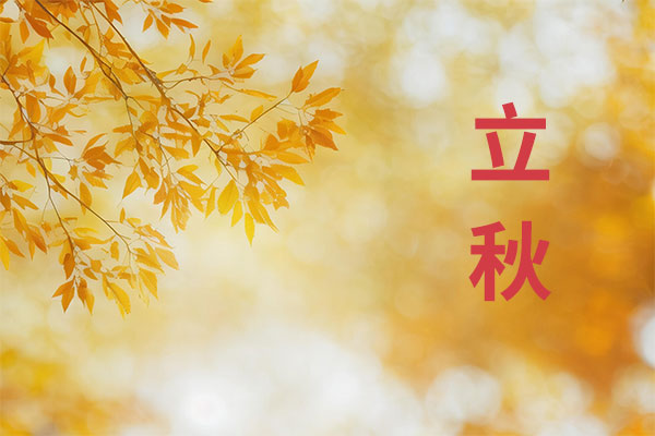 ������(8883��AMG)�ٷ���վ