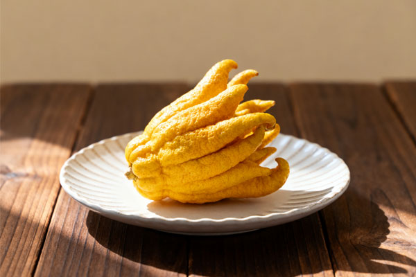 ������(8883��AMG)�ٷ���վ