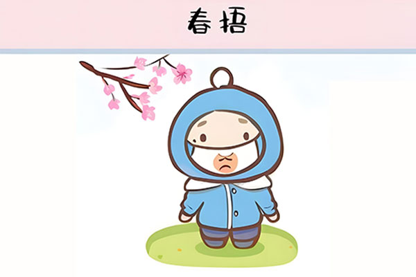 ������(8883��AMG)�ٷ���վ