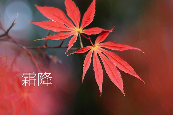 ������(8883��AMG)�ٷ���վ