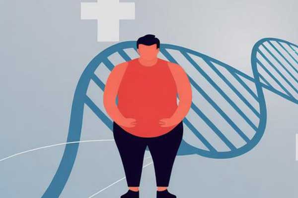 ������(8883��AMG)�ٷ���վ